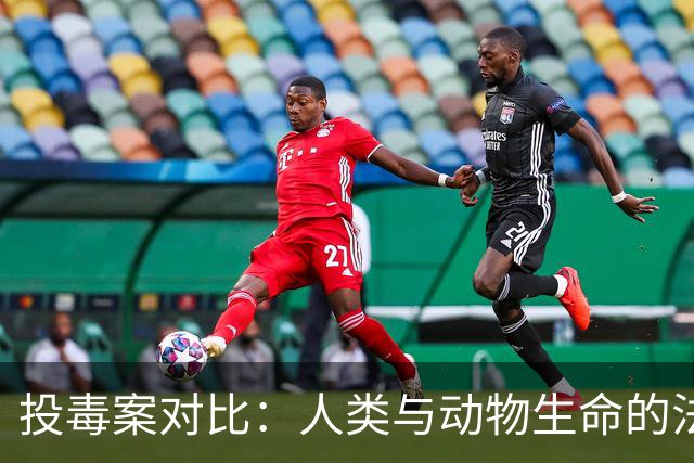 投毒案对比：人类与动物生命的法律差异